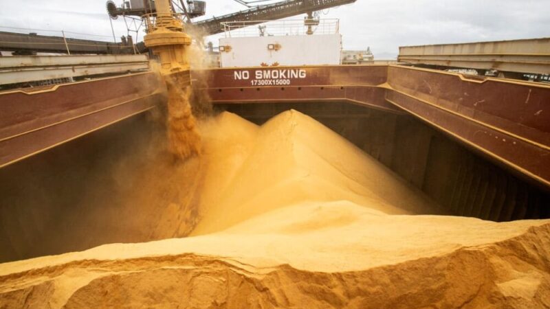 China recebe 91,8% da exportação de soja movimentada no Porto de Paranaguá