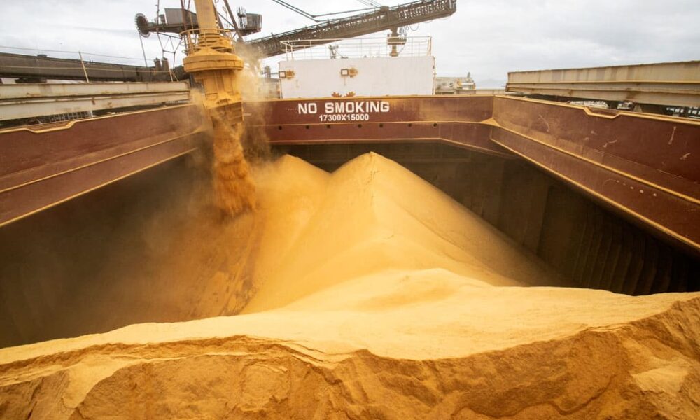 China recebe 91,8% da exportação de soja movimentada no Porto de Paranaguá