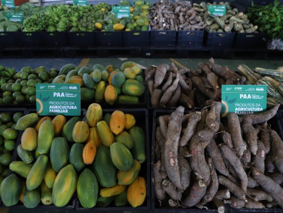 Comércio e agronegócio de Rio Preto da Eva recebem mais de R$ 1,3 milhão em investimentos do Governo do Estado