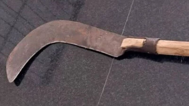 ‘Maníaco da foice’ tenta decapitar alunos e funcionários de escola