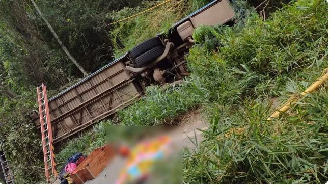 Ônibus capota e 7 pessoas morrem após motorista tentar desviar de cachorros