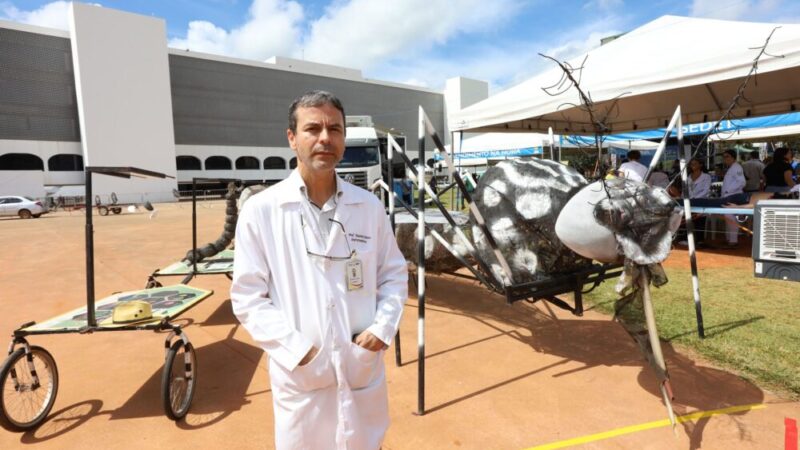 Réplica do Aedes aegypti em metal é destaque em ação educativa contra a dengue