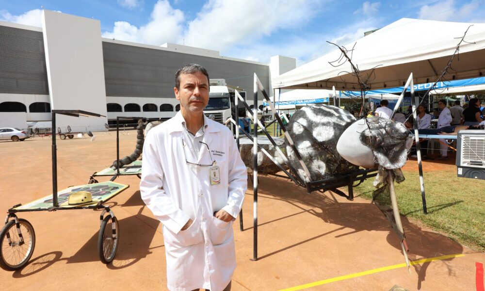 Réplica do Aedes aegypti em metal é destaque em ação educativa contra a dengue