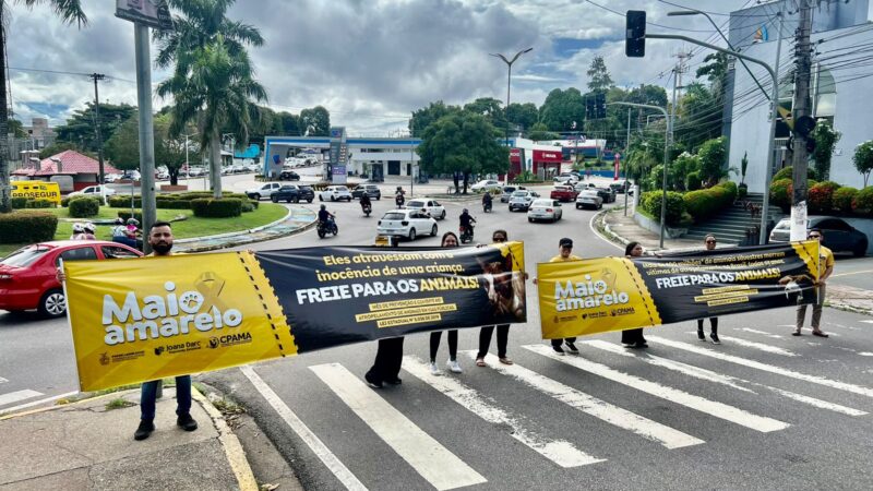 Comissão de Proteção aos Animais da Assembleia Legislativa do Amazonas inicia ações voltadas ao ‘Maio Amarelo’