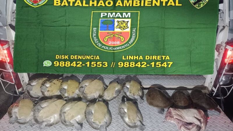 Mulher é presa com 27 quelônios; três estavam mortos em freezer