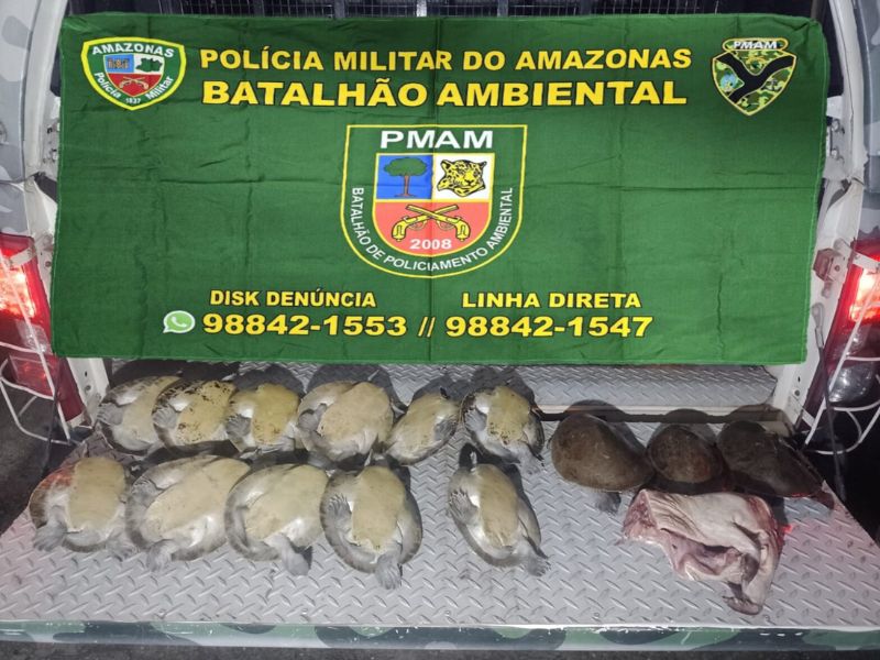 Mulher é presa com 27 quelônios; três estavam mortos em freezer