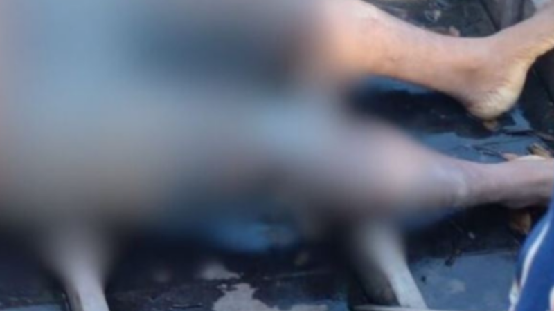 Pescador é encontrado com marcas de tiros dentro de canoa no AM