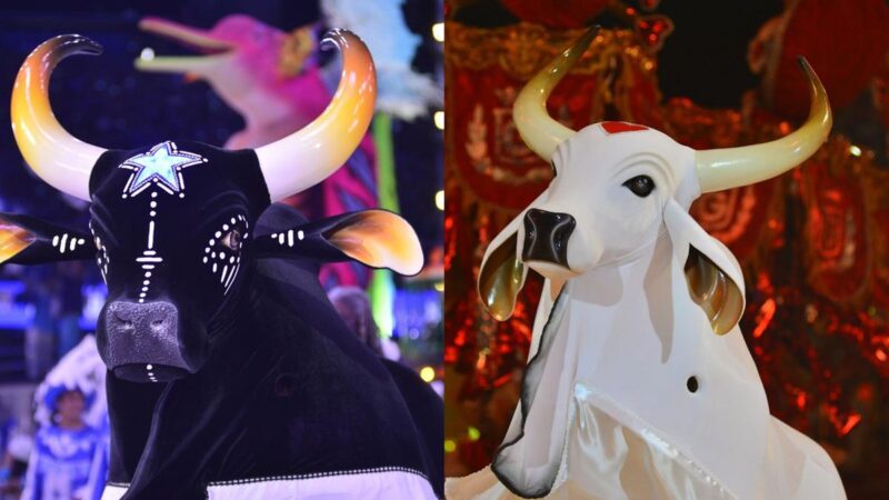 Senado reconhece Festival de Parintins como manifestação da cultura nacional