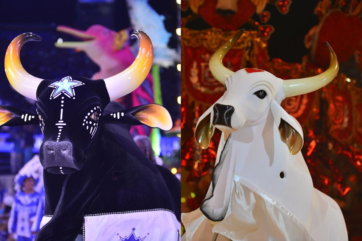 Senado reconhece Festival de Parintins como manifestação da cultura nacional