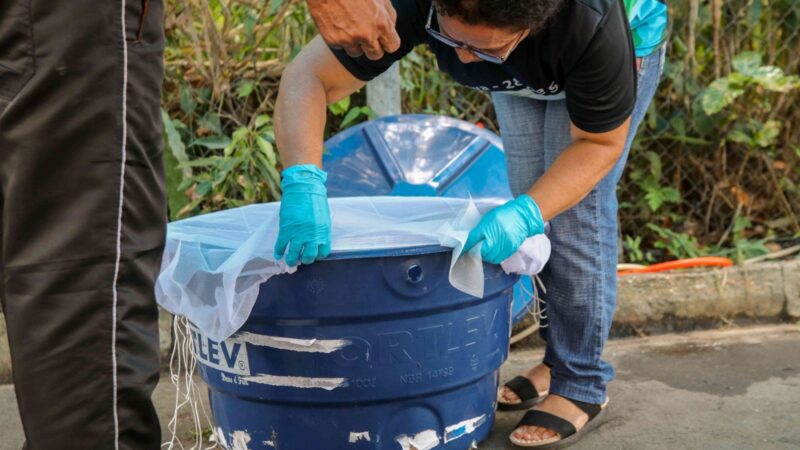 Saúde do Amazonas permite ampliação de faixa etária para vacina contra dengue