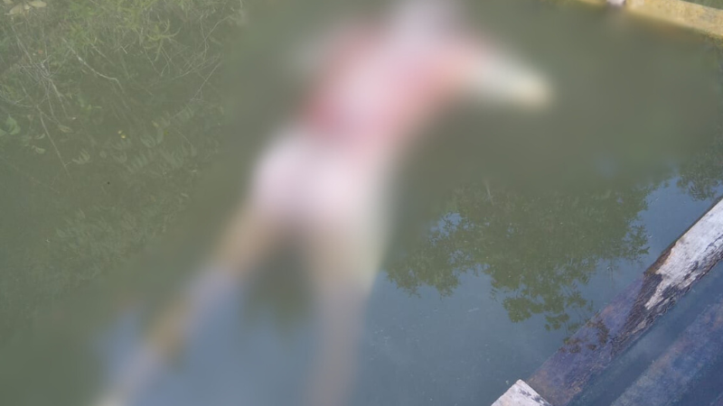 Corpo de homem é encontrado em igarapé na zona oeste de Manaus