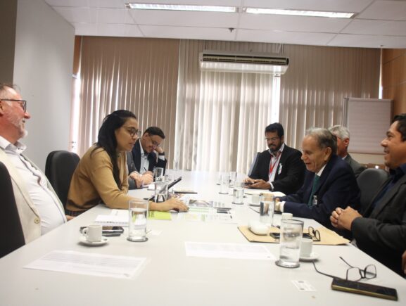 Governo do Amazonas apresenta propostas de projetos ao Ministério de Minas e Energia