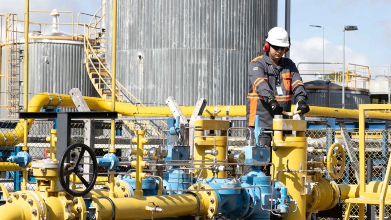 Cigás apresenta benefícios ambientais do gás natural no Amazônia Global Summit