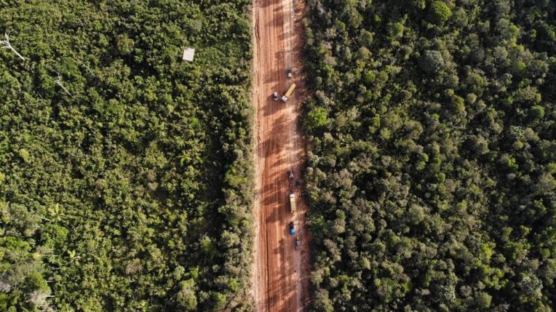 Tribunal Federal autoriza retomada de obra na BR-319