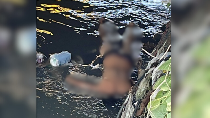 Corpo de homem é encontrado boiando em igarapé de Manaus