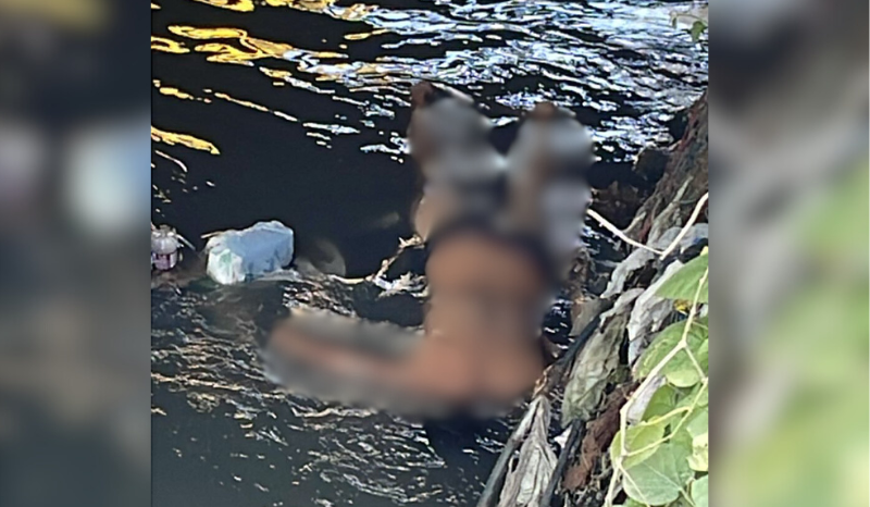 Corpo de homem é encontrado boiando em igarapé de Manaus