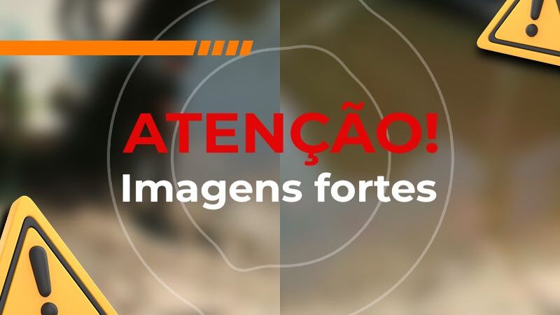 Fotógrafo registra urubu devorando corpo de homem em Manaus