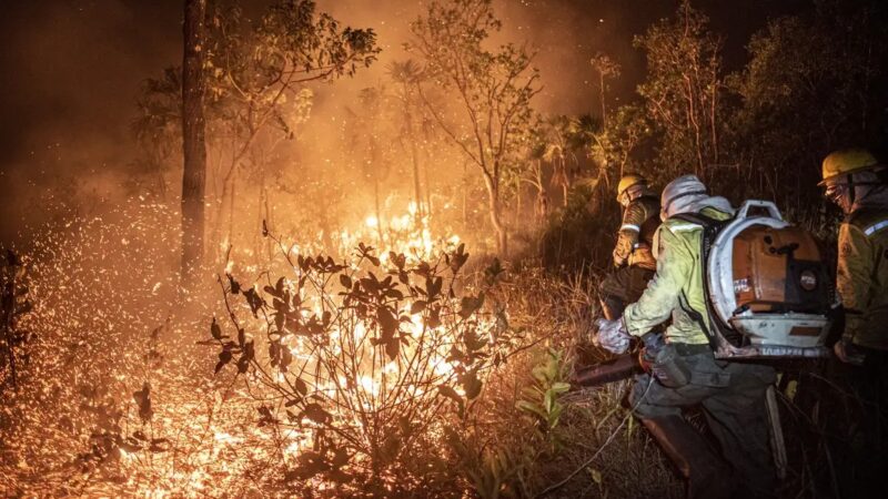 Incêndios já destruíram 11,39 milhões de hectares no Brasil só neste ano