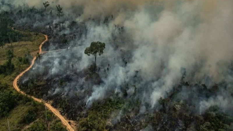 Ministro determina prazo para que estados da Amazônia expliquem focos de queimadas