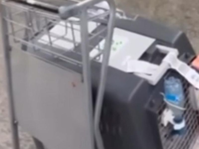 Passageira recebe cachorra ensanguentada após voo do Amazonas