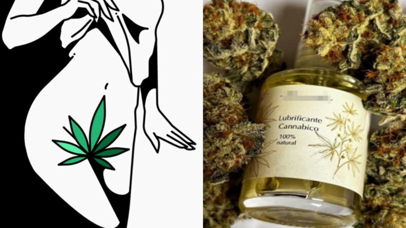 Quadrilha que vendia lubrificante vaginal à base de maconha é desmantelada
