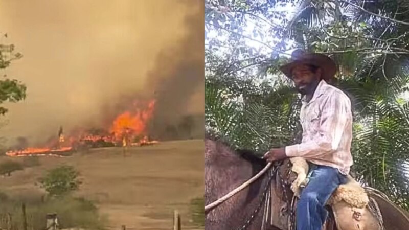 Trabalhador morre carbonizado ao tentar salvar gado de incêndio