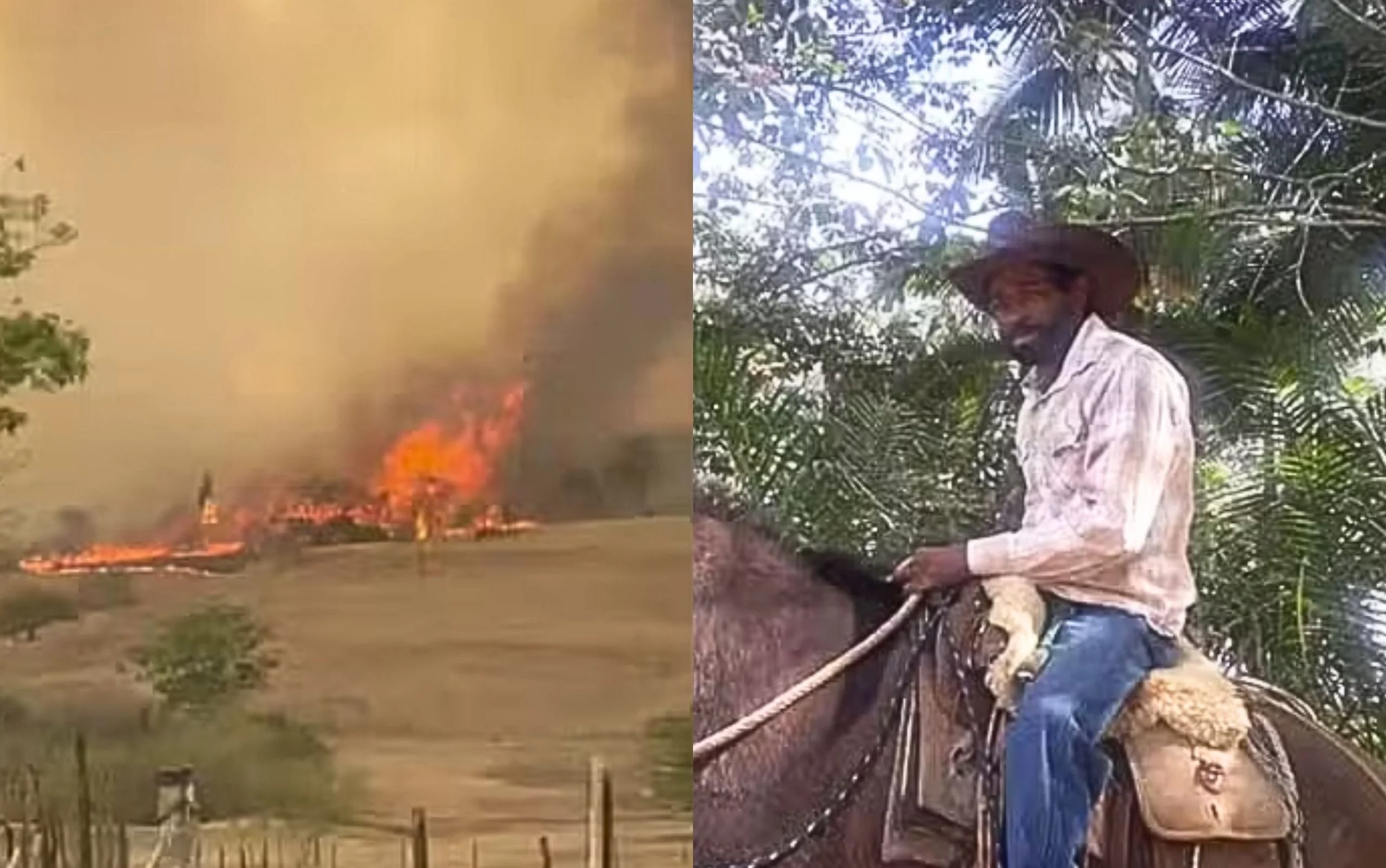 Trabalhador morre carbonizado ao tentar salvar gado de incêndio