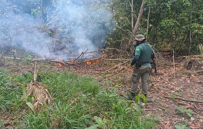 Homem é preso por provocar incêndio em área de mata em Humaitá