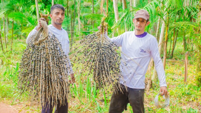 Causas socioambientais entram na pauta para sucesso das franquias no Amazonas