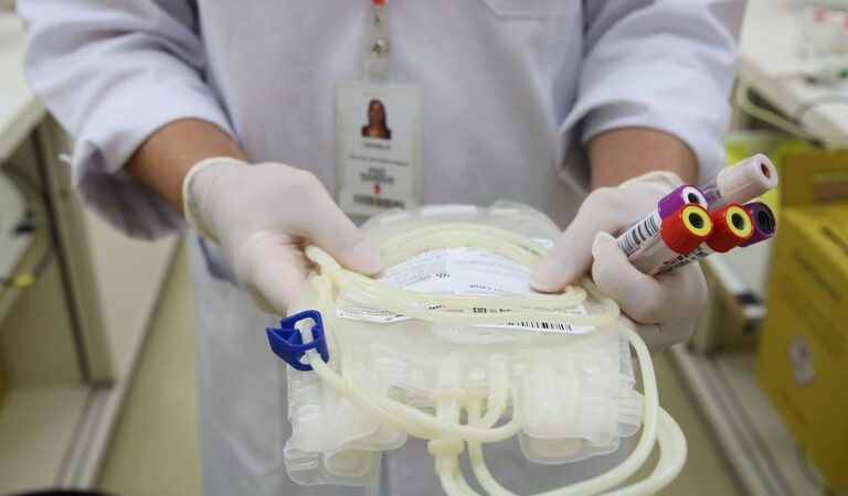 DF Registra Aumento nos Doadores de Medula Óssea em 2024