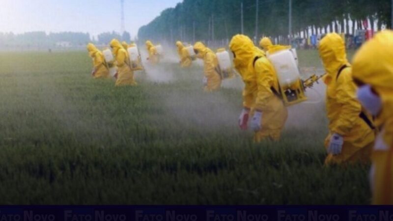 Parceria vai monitorar agrotóxicos em alimentos no DF