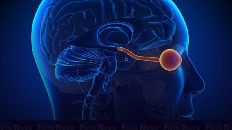 Saiba mais sobre a neuromielite óptica, doença autoimune que afeta principalmente mulheres negras – Fato Novo