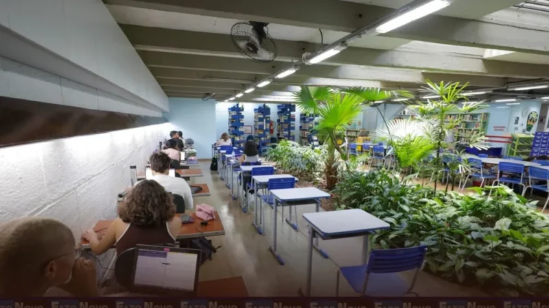 Espaços de inclusão social, bibliotecas escolares comunitárias estão abertas à população