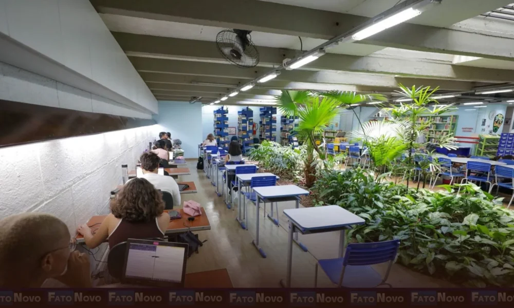 Espaços de inclusão social, bibliotecas escolares comunitárias estão abertas à população