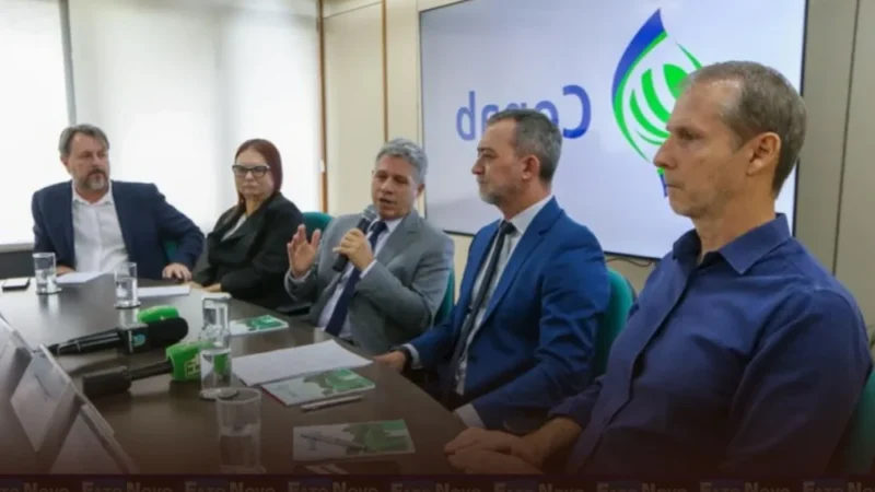 Governo vai adquirir até 200 mil toneladas de trigo de produtores nacionais