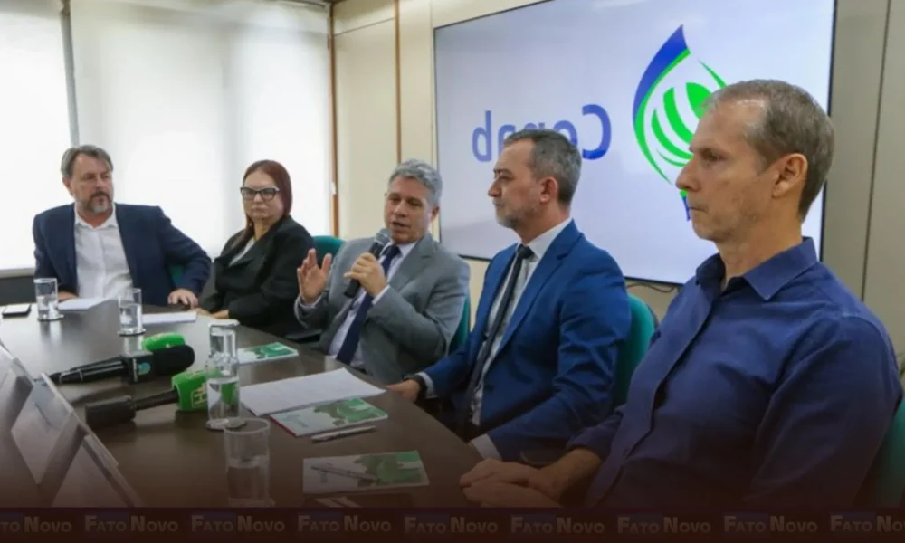 Governo vai adquirir até 200 mil toneladas de trigo de produtores nacionais