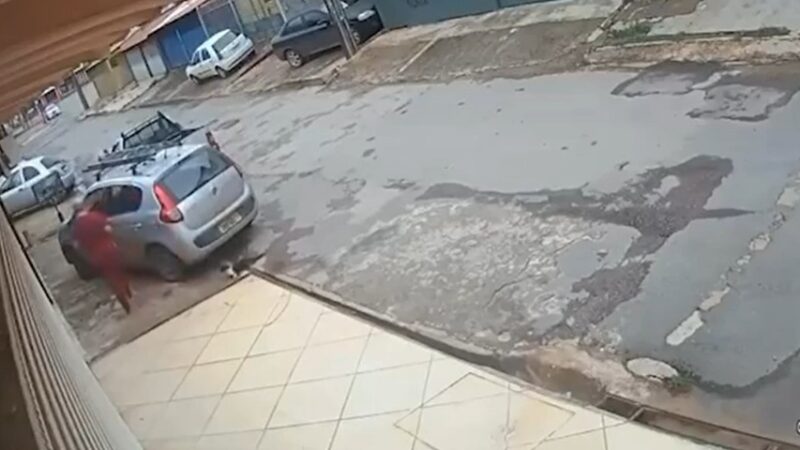 IMAGENS FORTES: Mulher chuta e mata gato atropelado