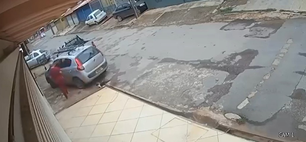 IMAGENS FORTES: Mulher chuta e mata gato atropelado