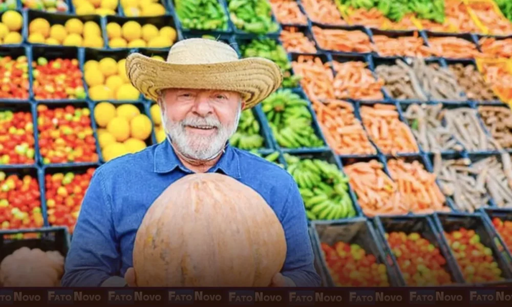 Lula sanciona lei que autoriza R$ 500 mi para agricultura familiar
