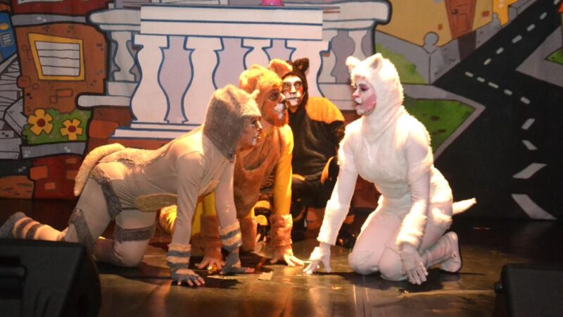 Show Musigatos retrata realidade de animais em situação de rua em Manaus com estreia emocionante