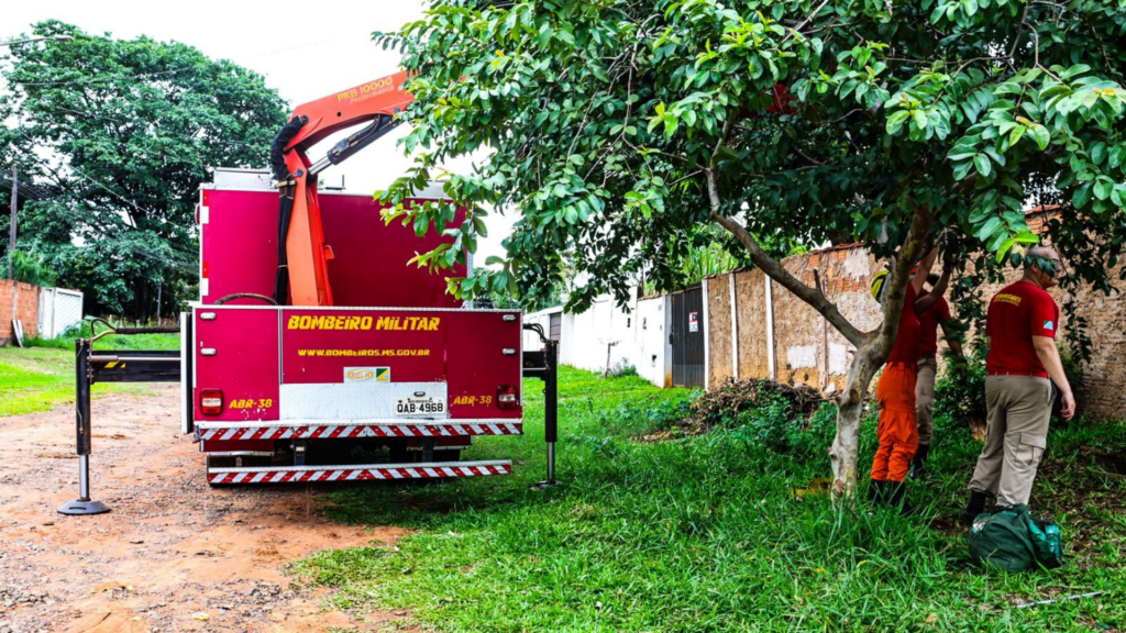 Bombeiros usam guincho para tentar retirar vaca que morreu no Los Angeles após cair em fossa