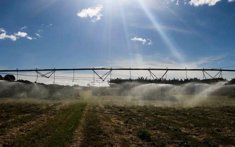 Entenda as exportações agrícolas após acordo Mercosul-UE