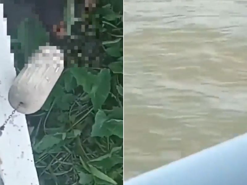 Vídeo flagra casal na ‘posição do boto’ em igarapé de Manaus