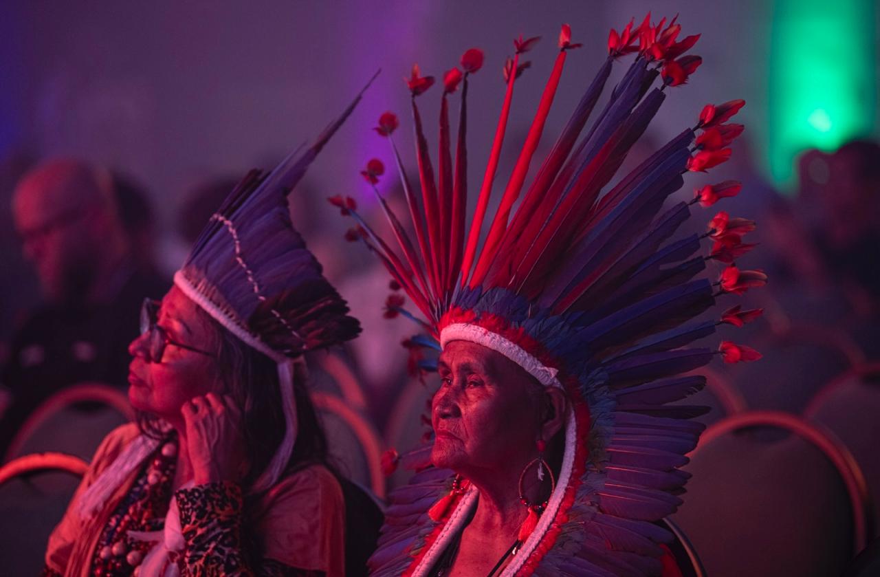 Abertas inscrições do ‘Elos da Amazônia’ para projetos de empreendedorismo indígena