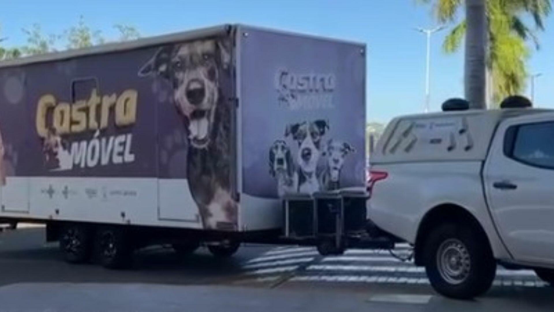 Castramóvel oferece atendimento gratuito para animais no Bosque dos Ipês