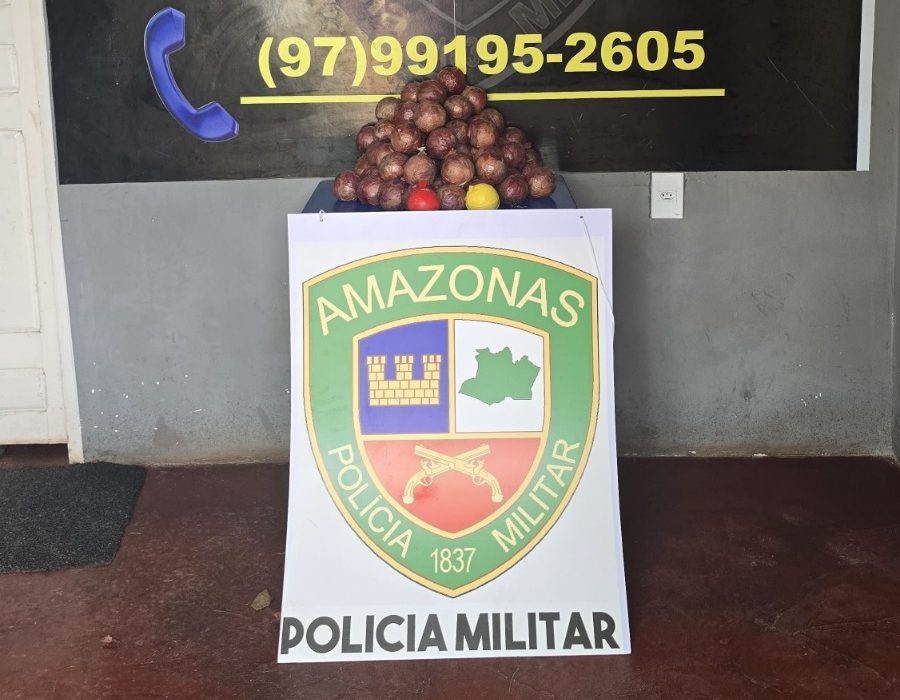 Cebolas recheadas com 16 kg de drogas são apreendidas no interior do AM
