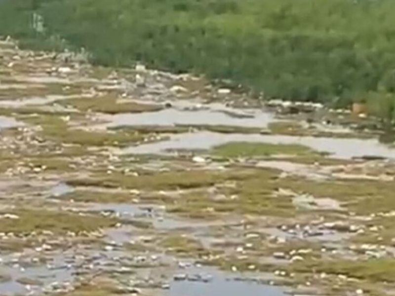 Corpo sem cabeça é encontrado na orla do bairro São Raimundo, em Manaus