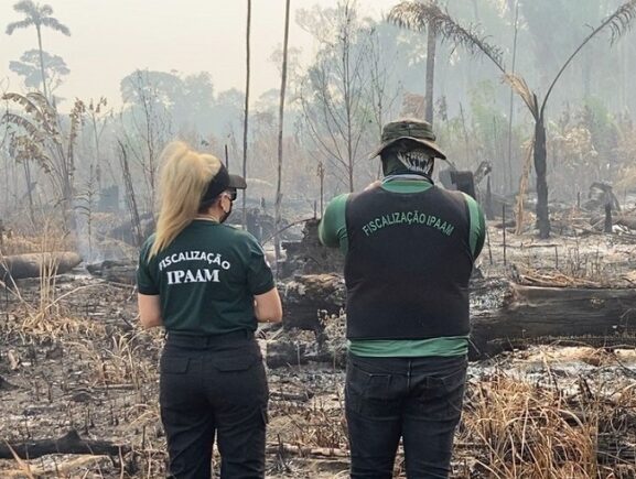 Fiscalizações ambientais do Ipaam crescem 281,38% com foco no combate ao desmatamento