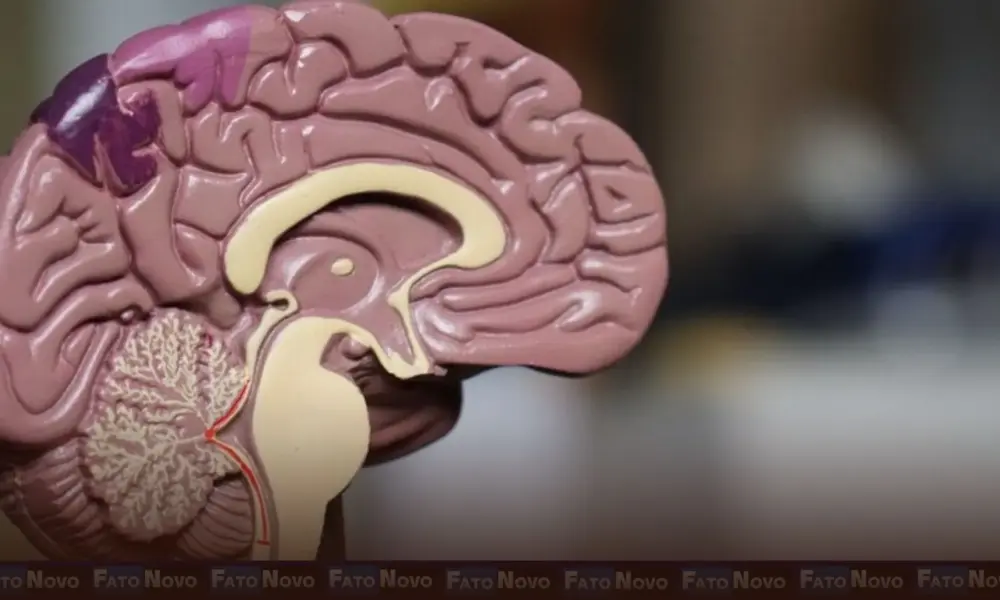 Pancada forte na cabeça pode reativar vírus adormecidos no corpo