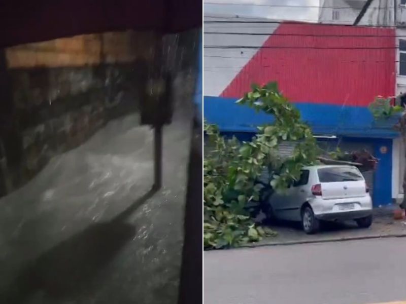 Vídeos mostram beco virando correnteza e árvores tomabando em Manaus